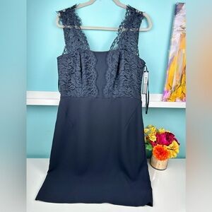 Tahari crepe and lace lined elegant dress, size 10P, NWT
